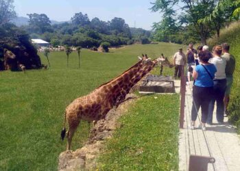 Turismo de naturaleza