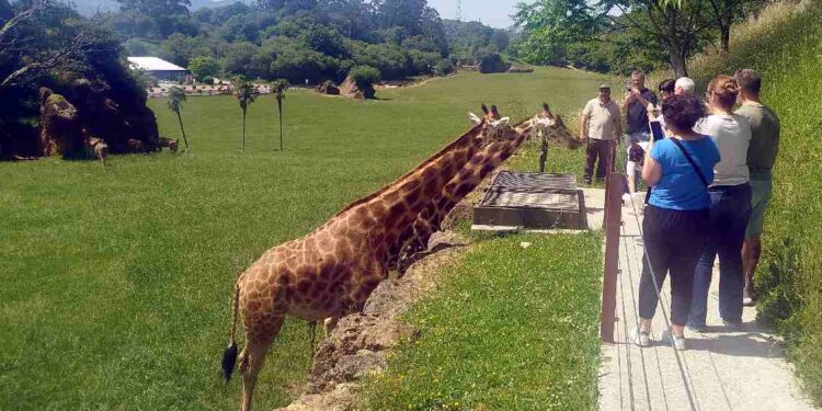 Turismo de naturaleza