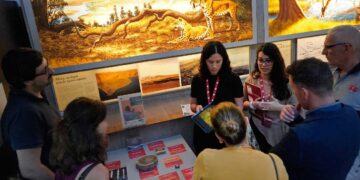 Investigación paleolítica en el Museo de Altamira