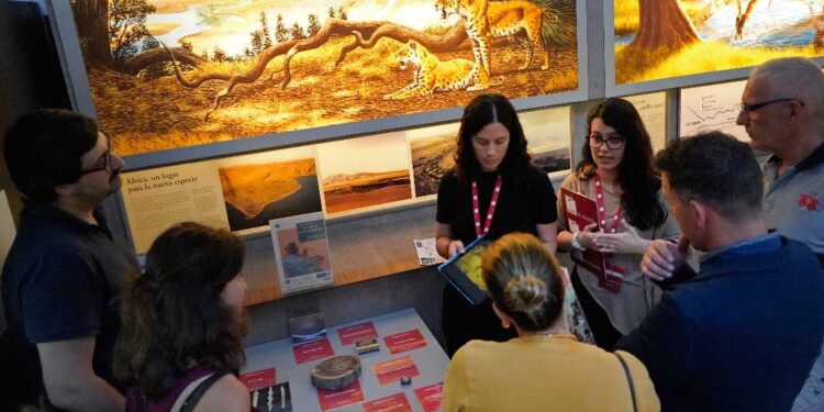 Investigación paleolítica en el Museo de Altamira