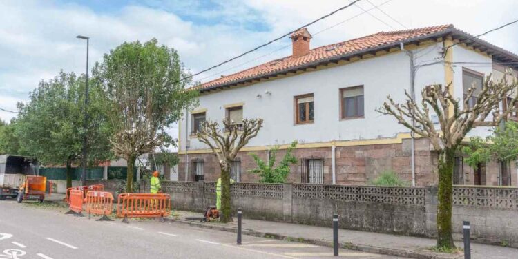 Poda de 200 arbustos en Torrelavega