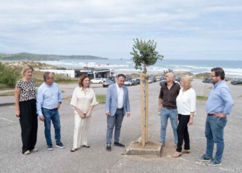 Protección del sistema dunar de Canallave