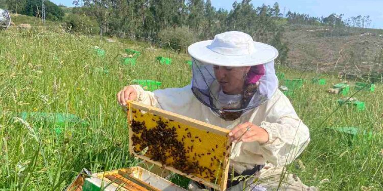 Apicultora del Programa Cultiva