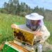 Apicultora del Programa Cultiva