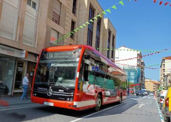 Torrebus
