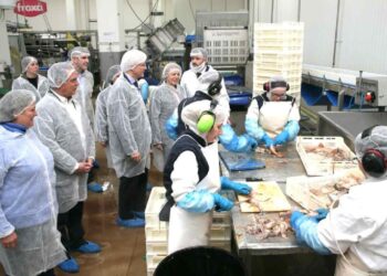 Ayudas para empresas pesqueras y acuícolas