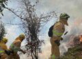 Bomberos forestales