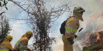 Bomberos forestales