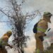 Bomberos forestales