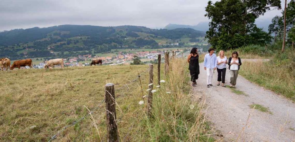 Caminos rurales Pomaluengo