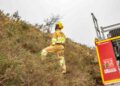 Incendios forestales