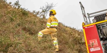Incendios forestales