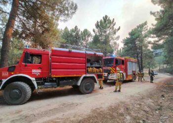 envio operativo tareas de extinción de los incendios forestales de Madrid y Ávila