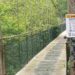 pasarela colgante de La Viesca