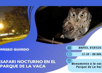 Safari nocturno