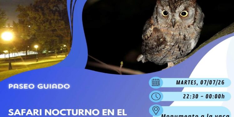 Safari nocturno
