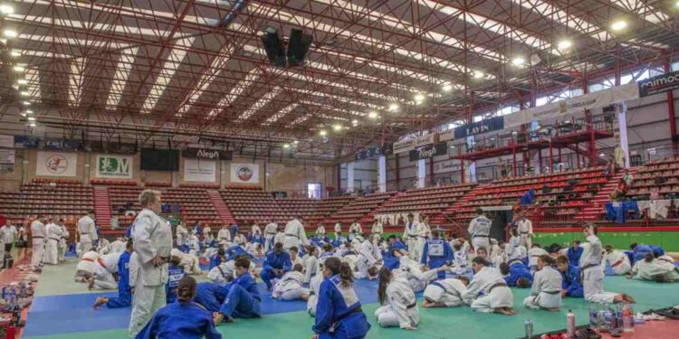 Ayudas al deporte del Ayuntamiento de Torrelavega