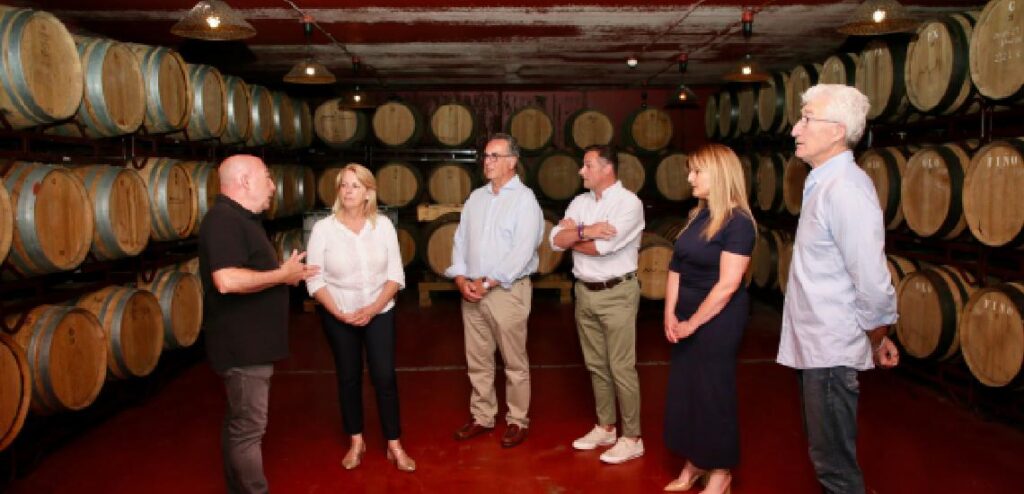 Picos de Cabariezo, bodega y enoturismo en Liébana
