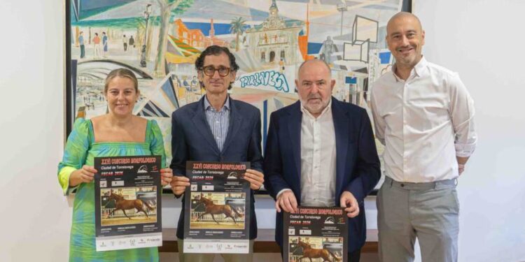 Concurso Morfológico Ciudad de Torrelavega