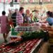 Feria de Productos Agroalimentarios