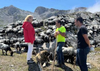 Visita rebaño Razas autóctonas en bejes