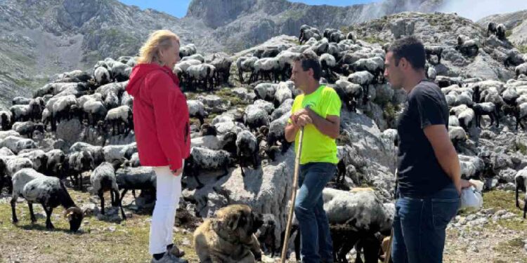 Visita rebaño Razas autóctonas en bejes
