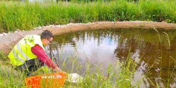 Hábitat para los anfibios