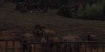 Parque de la Naturaleza de Cabárceno