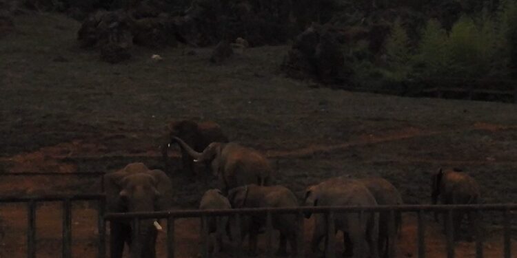 Parque de la Naturaleza de Cabárceno