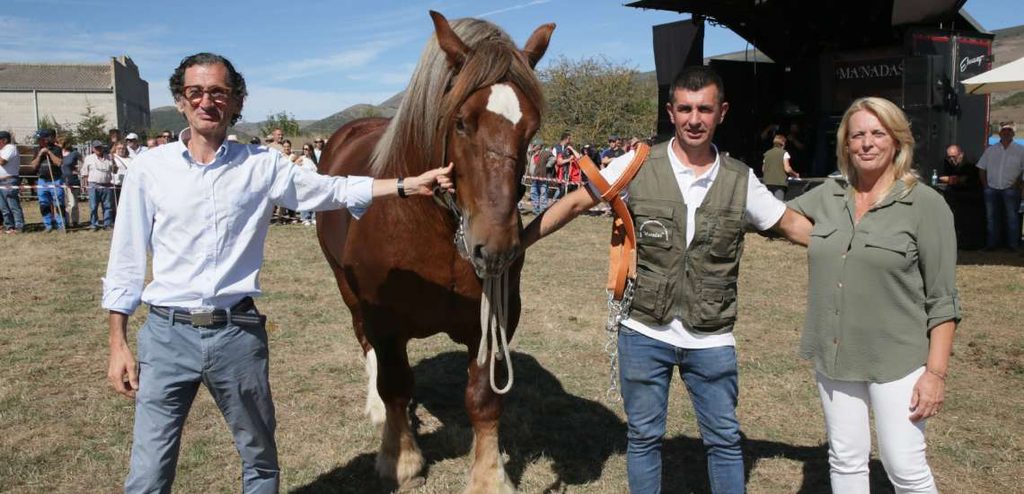 Feria Caballar de San Mateo Reinosa