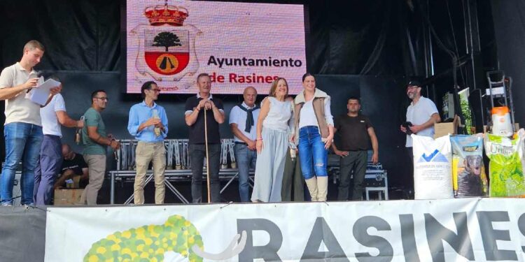Feria ganadera de Rasines