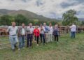Feria de Ganado de Puentenansa en Rionansa