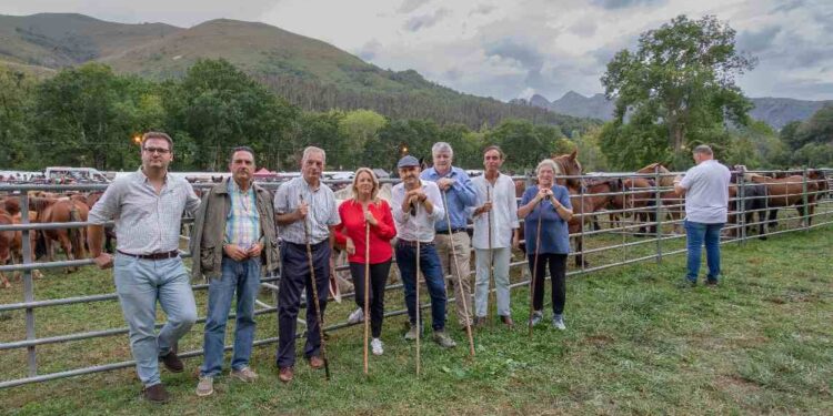Feria de Ganado de Puentenansa en Rionansa