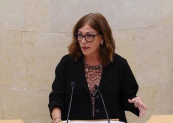 Rosa Diaz y las ayudas a la administración