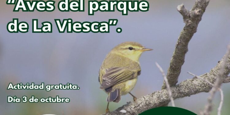 La Viesca