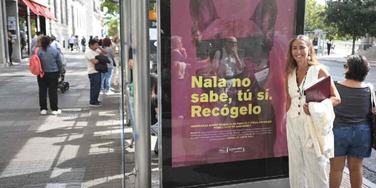 Recogida de heces y orines