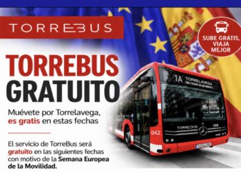 Torrebus