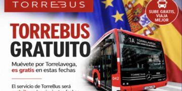 Torrebus