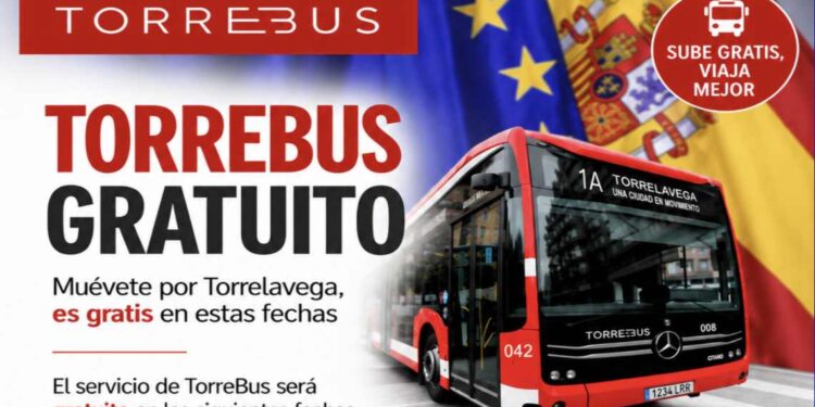 Torrebus