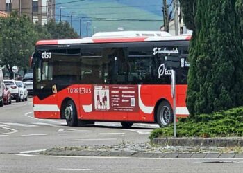 Torrebus