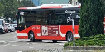 Torrebus