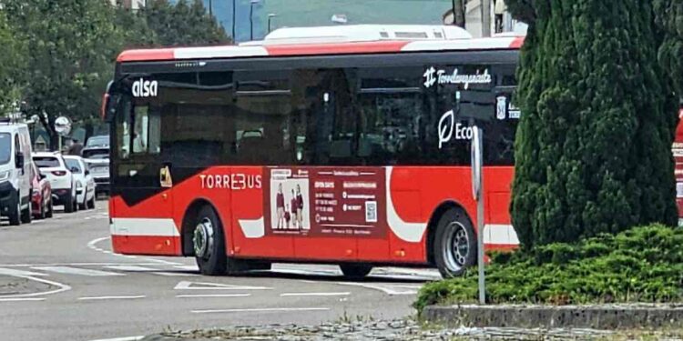 Torrebus