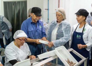 Visita al curso de fileteado de anchoa en Laredo
