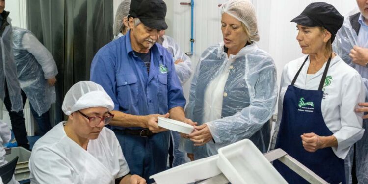 Visita al curso de fileteado de anchoa en Laredo