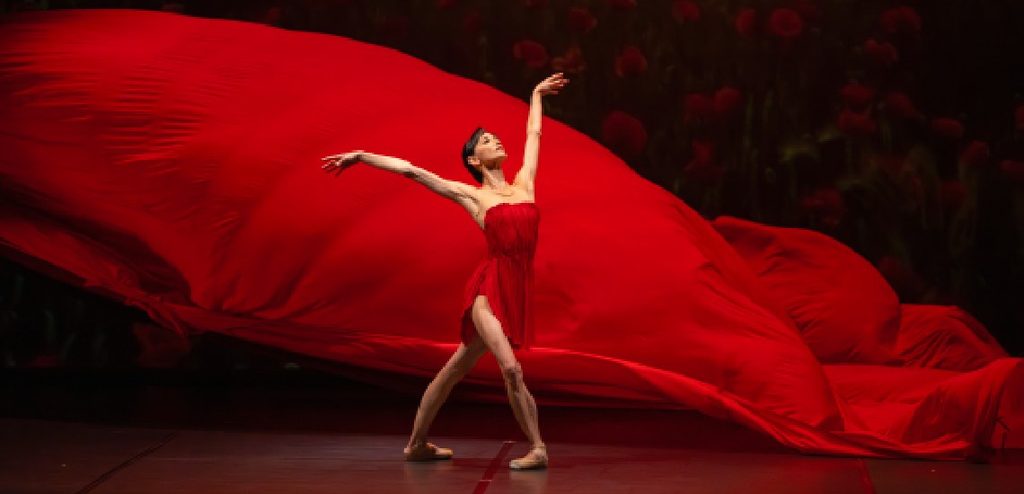 Danza en el Palacio de Festivales