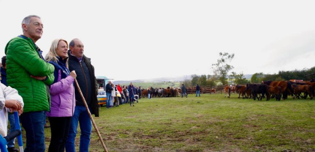 Feria Ganadera de Campoo de Enmedio