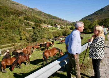 Feria equina de Polaciones