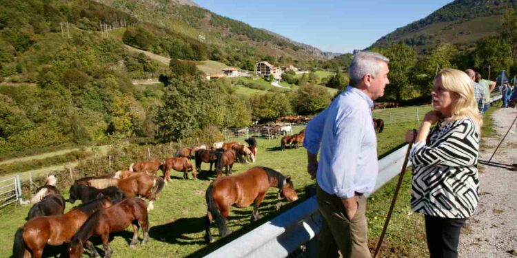 Feria equina de Polaciones