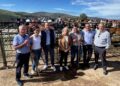 Feria de Ganado Equino
