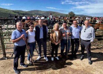 Feria de Ganado Equino
